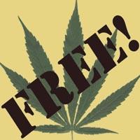 легализация марихуаны
