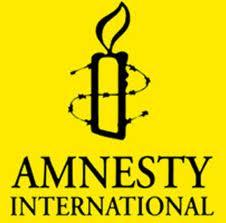  взлом,  эксплойт,  пользователь,  Amnesty International