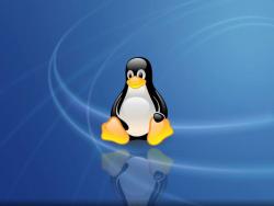 операционная система Linux  3.3