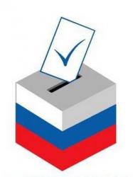 Выборы, Россия, Медведев, видео, интернет, нарушения