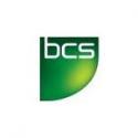 BCS,  ASCS,  управление рисками