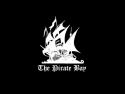 The Pirate Bay, блокировка, Нидерланды, BREIN, KPN,  T-Mobile  