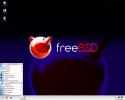 «Яндекс»,  «Рамблер»,  FreeBSD,  Linux Ubuntu