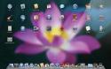 Mac OS X, количество, приложения